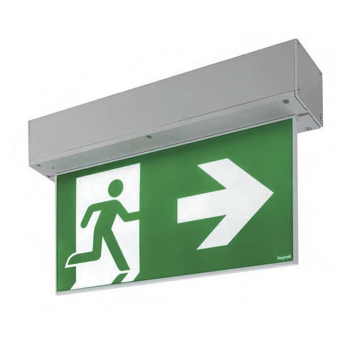 Exit signs: Ironflag IP65 Emergency Lighting