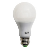 Saving LED: Saving Piccola pera T26 Sorgenti luminose